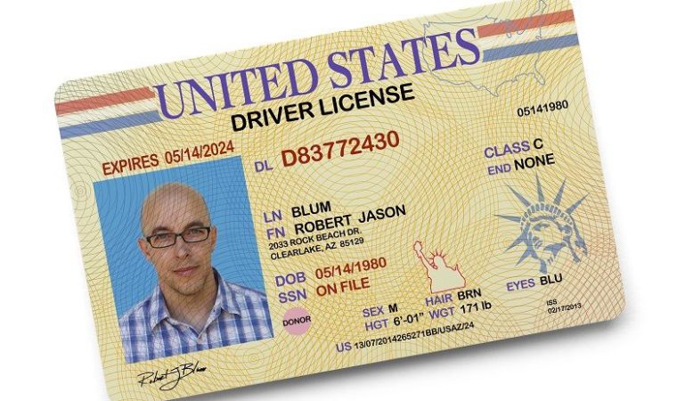 Driving Without a Valid Driver's License in Florida - Leifert