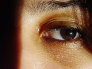 Palm Beach Prostitution Arrests: Expect More Human Trafficking Allegations Palm Beach Prostitution Arrests: Expect More Human Trafficking Allegations