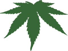 Medical Marijuana and Election Day Medical Marijuana and Election Day