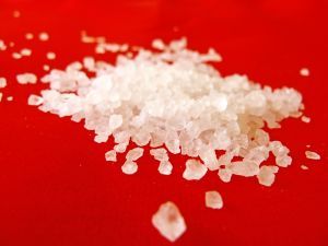 Palm Beach Burglary Investigation Leads to Major Drug Bust Palm Beach Burglary Investigation Leads to Major Drug Bust