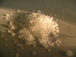Florida Bath Salts Still Prevalent Despite Bans